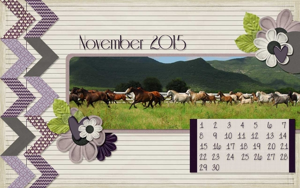 Nov Desktop