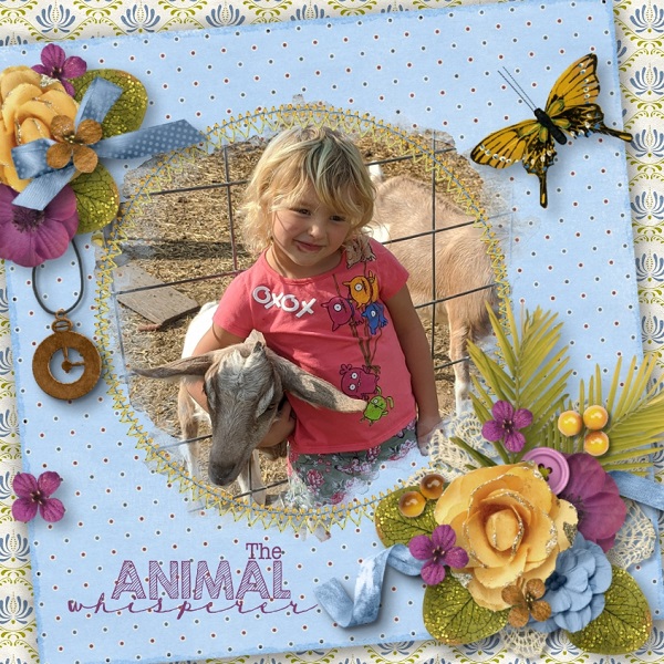 Nov dreams Maya