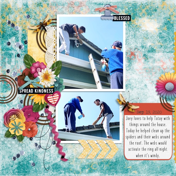 Nov Font Challenge