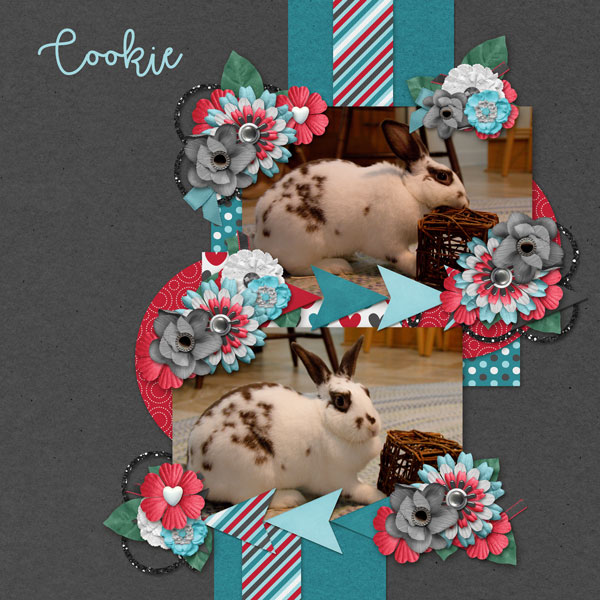 Nov Scraplift - Cookie