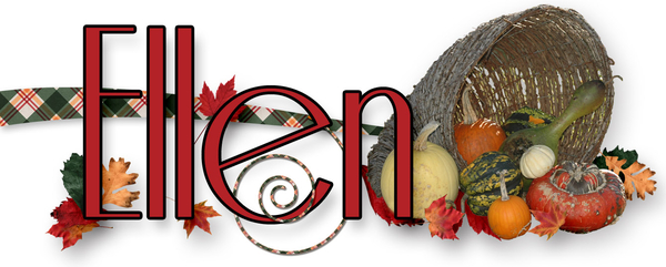 Nov Siggie