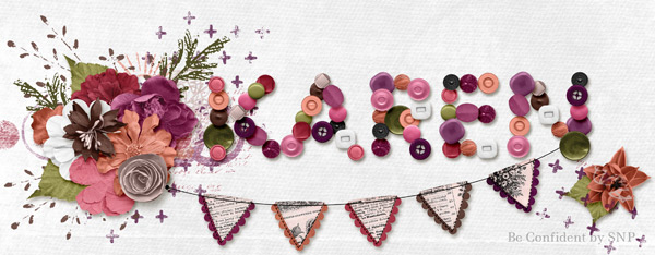 Nov Siggy Challenge