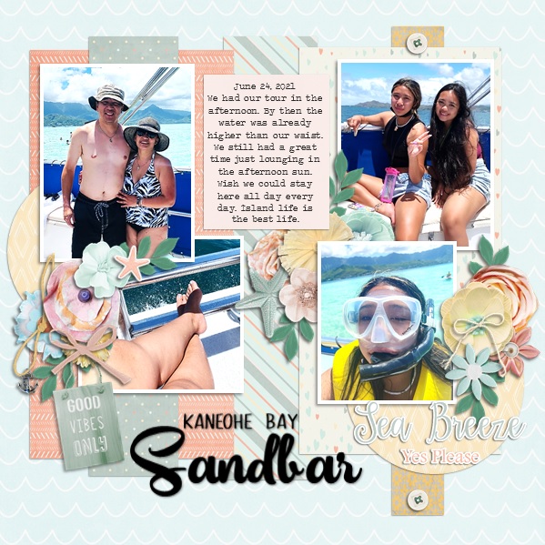 Nov SnP Pinterest Challenge