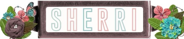 Nov16 Siggy Challenge