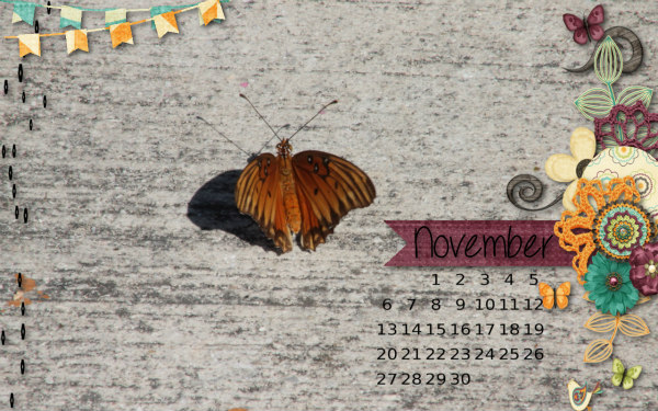 Nov16DW