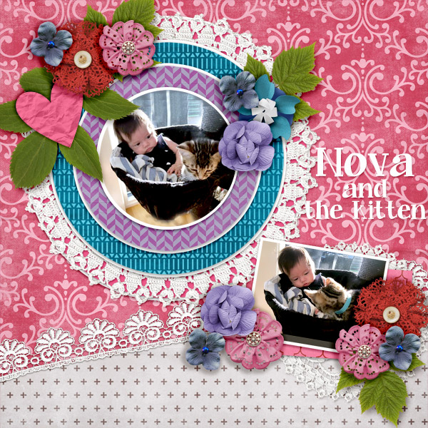 Nova-and-the-kitten