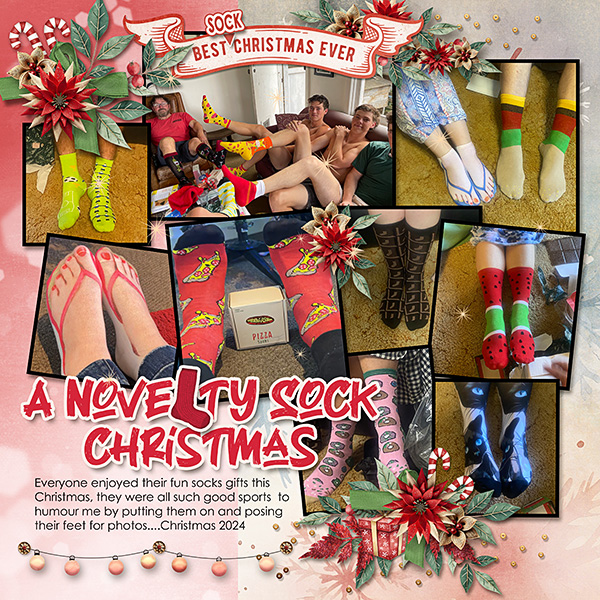 Novelty Socks