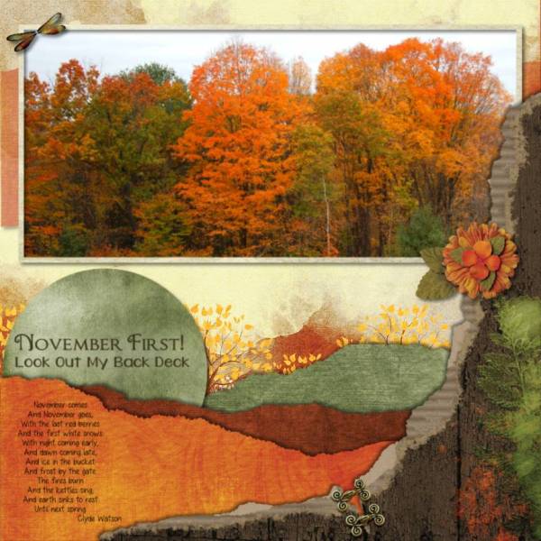 November 1