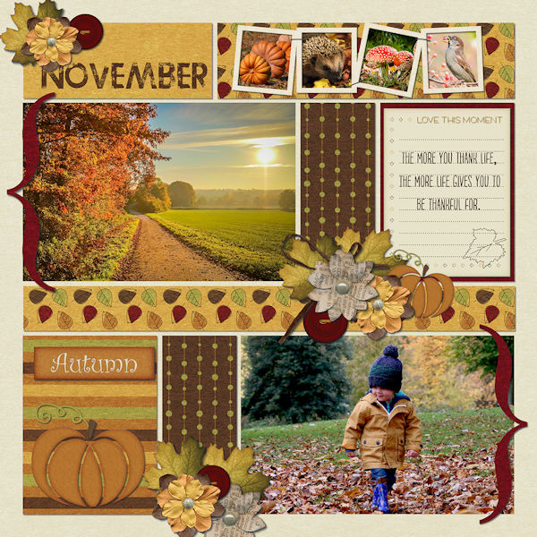 November 18