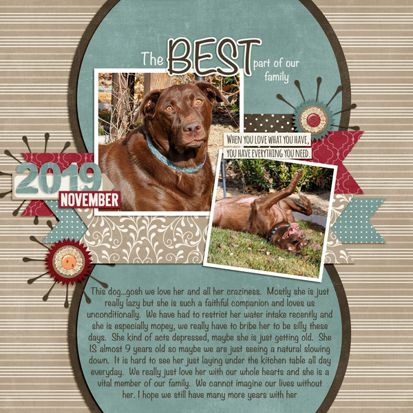 November-19-Favorite-PetWEB