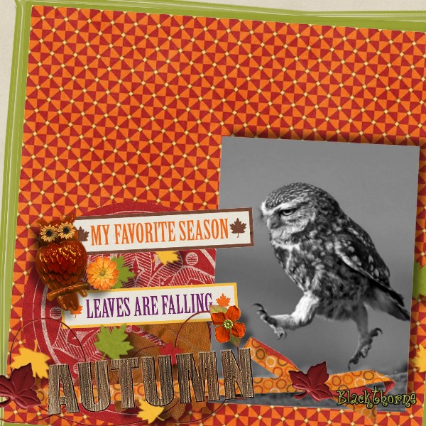 November 2014 Color Challenge