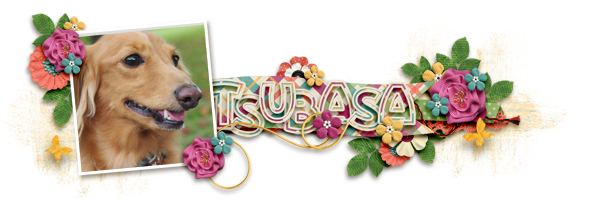 November 2014 Signature Challenge