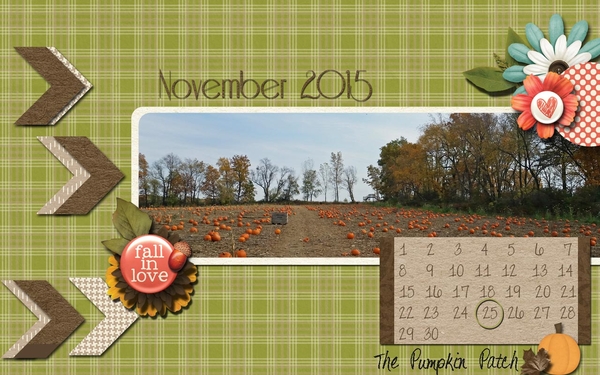 November 2015....The Pumpkin Patch