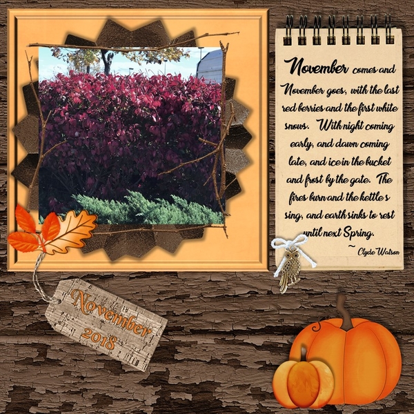 November 2018 Color Challenge