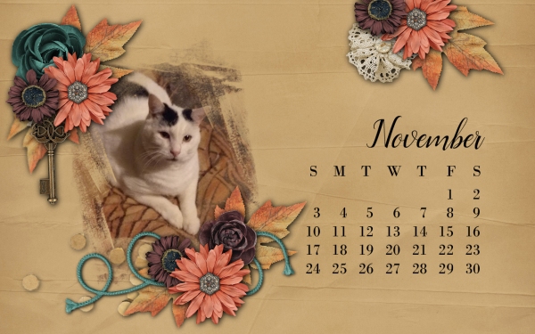 November 2019 Desktop