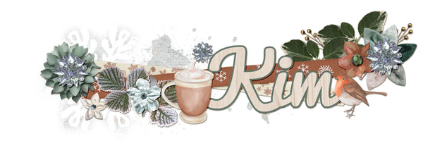 November 2019 Siggy