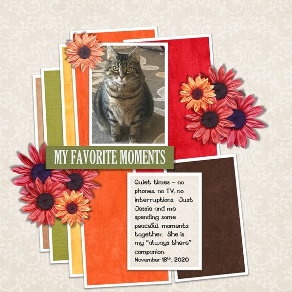 November 2020 Template #2 Challenge