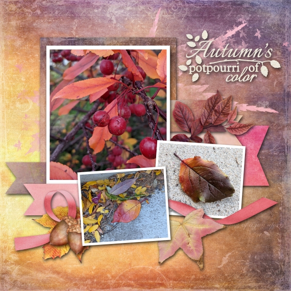 November 2021 Use it All Challenge