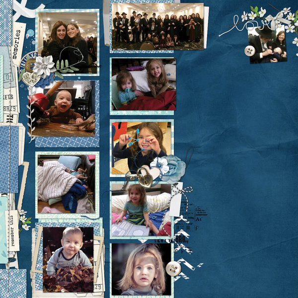 November 2023 activities