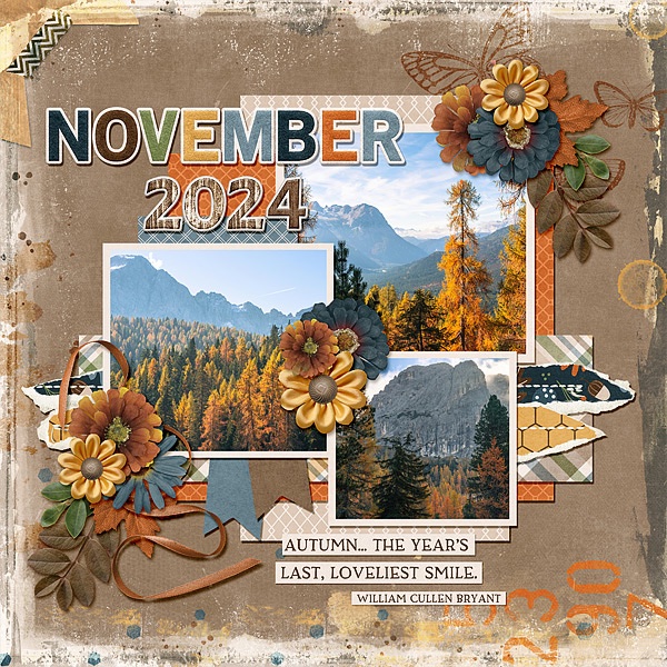 November 2024