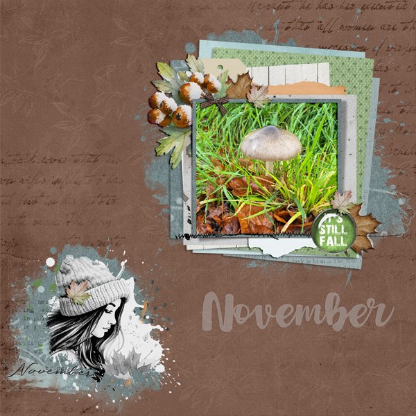 November-2025