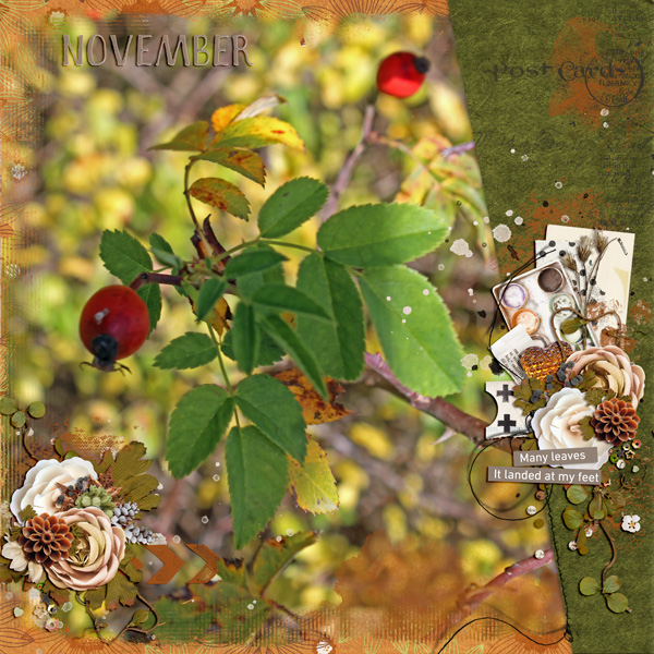 November Beauty