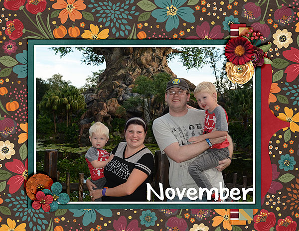november-bootes
