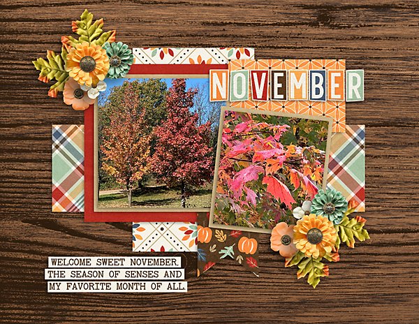 November-Calendar-web.jpg
