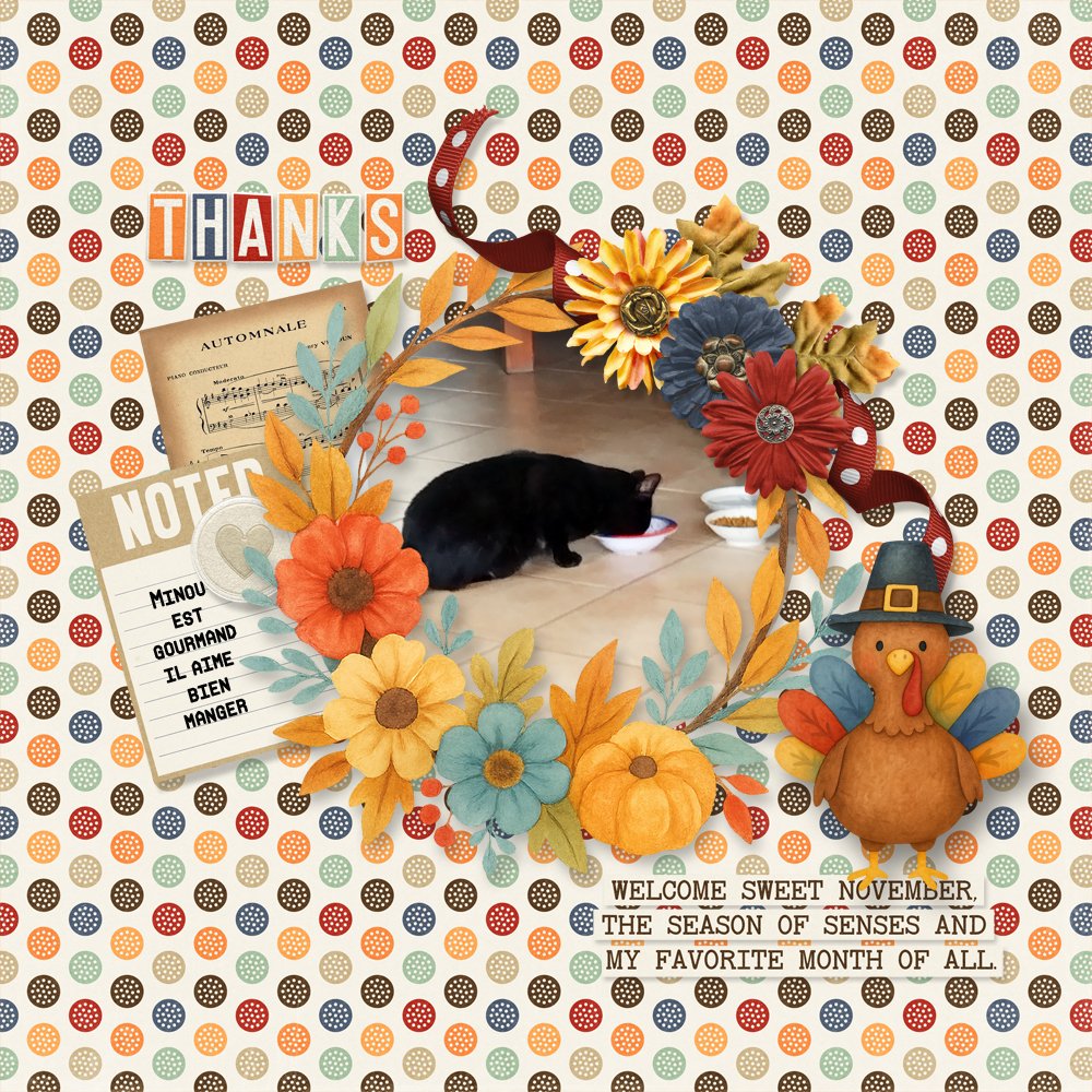 November-challenge mini kit