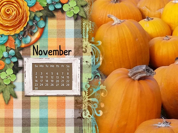 November DT