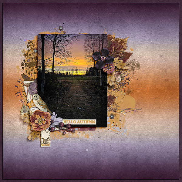 November Evening