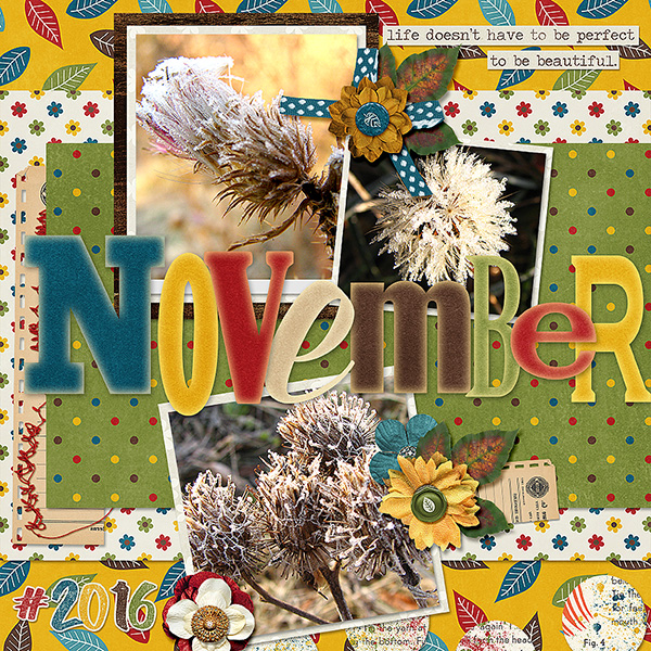 November Frost