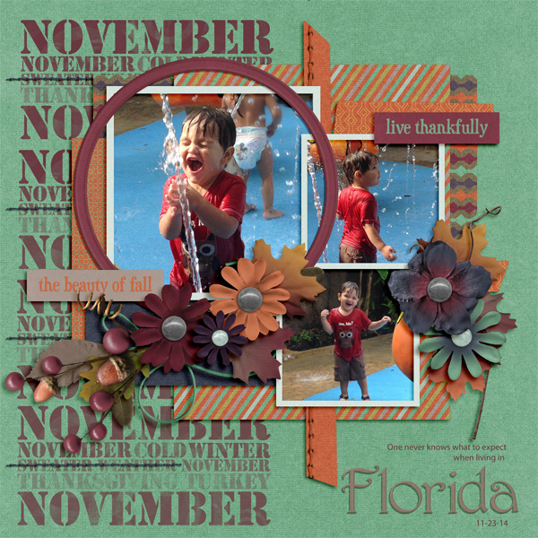 November in Florida
