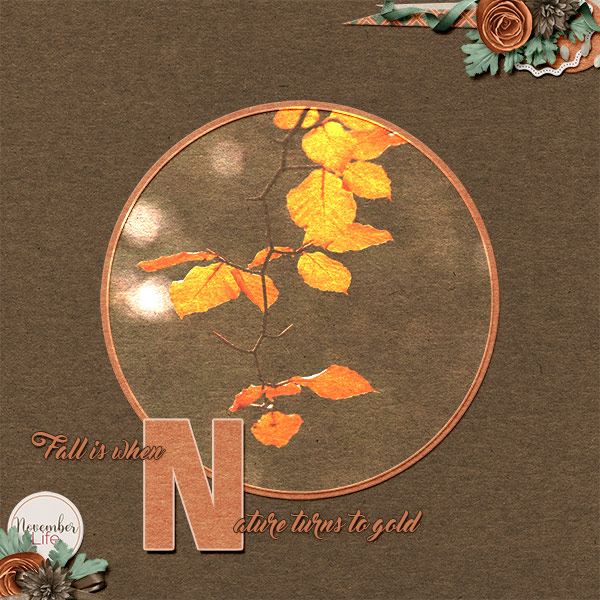 November life