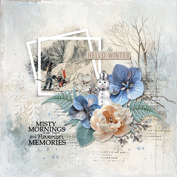 November Memories
