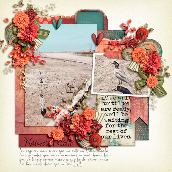 november mini