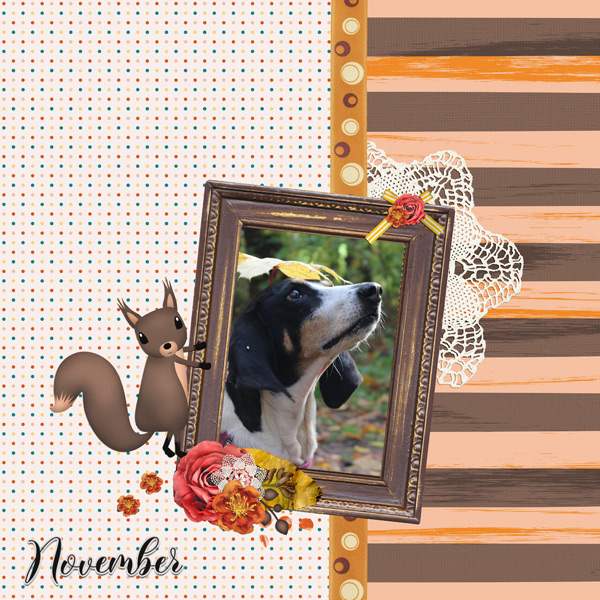 november moments 2022