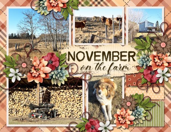 November on the Farm