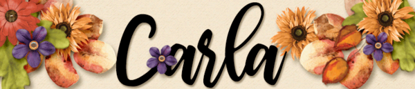 November Signature Challenge