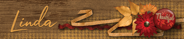 November Signature