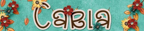November Signature