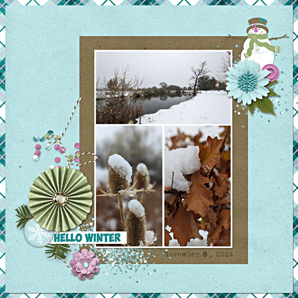 November Walk in the Cold