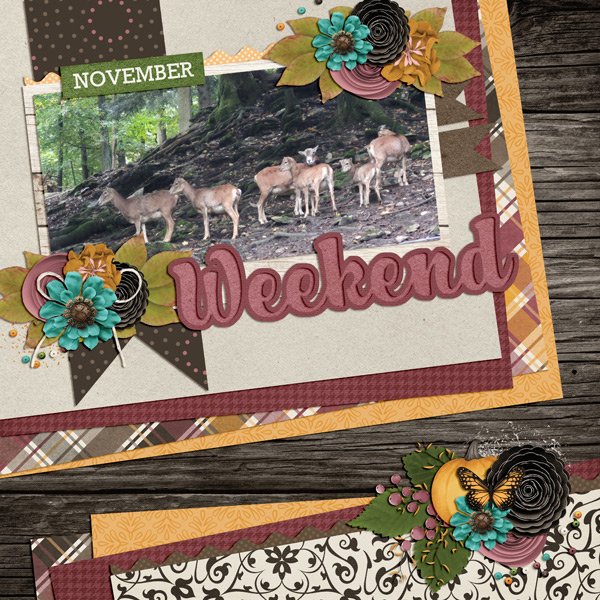 November Weekend