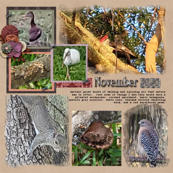 November Wrap-Up 2020