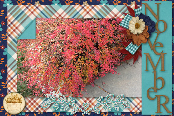 November