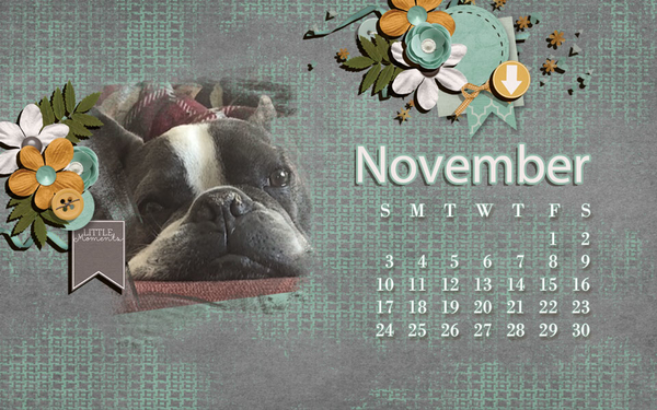 NOVEMBER