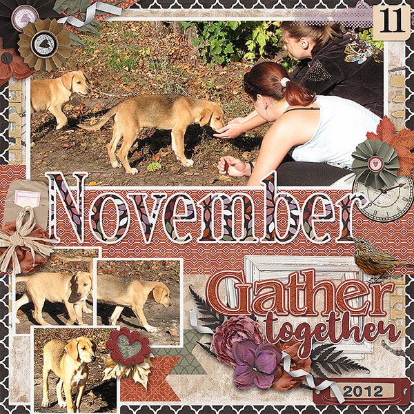 November