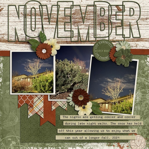 November