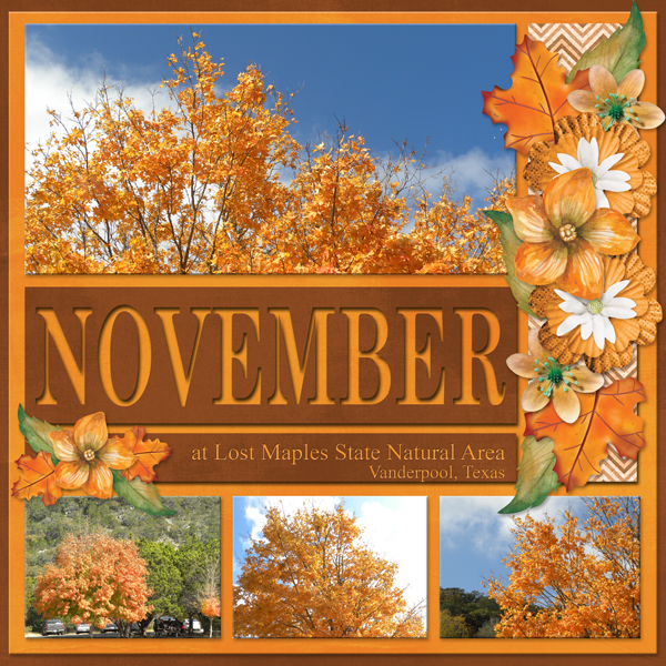 NOVEMBER