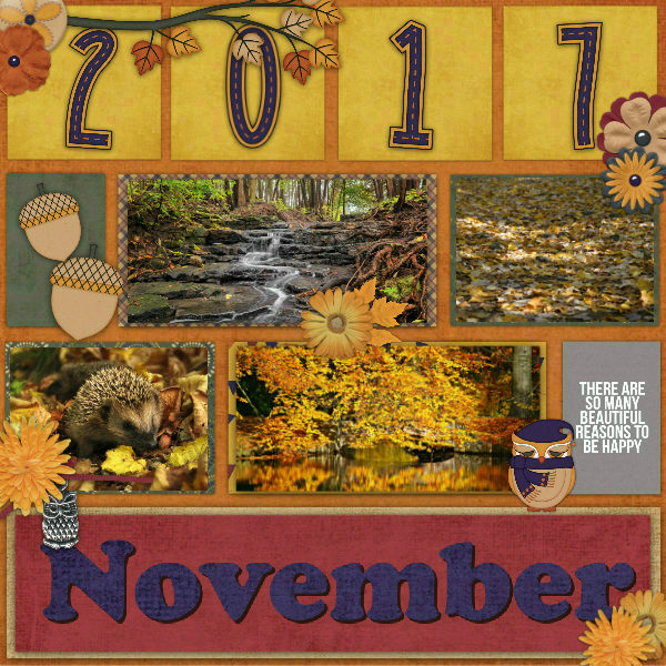 November11